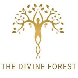 thedivineforest